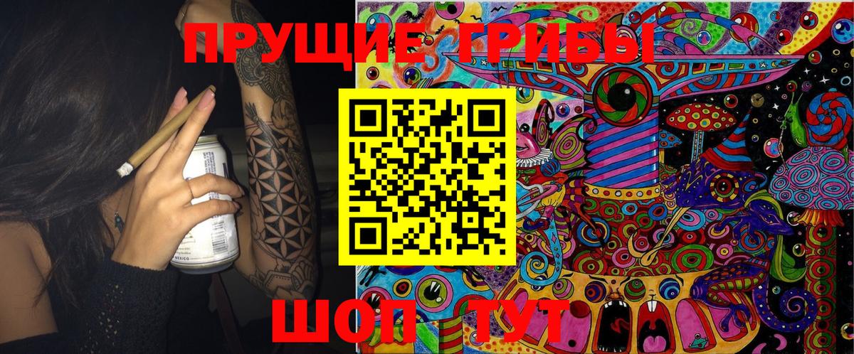 Псилоцибиновые грибы GOLDEN TEACHER Гуково